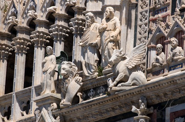 0282Duomo di Siena.jpg - SONY DSC